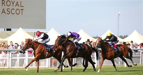 goodwood 2022 odds|2022 Goodwood Cup Odds, Entries and Runners .